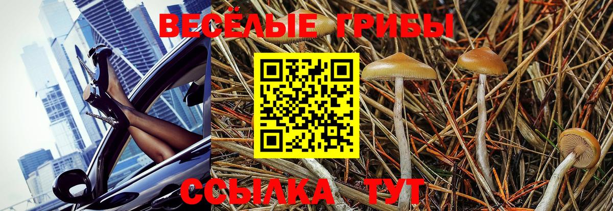 Алатырь  Псилоцибиновые грибы GOLDEN TEACHER  Вход с VPN 
