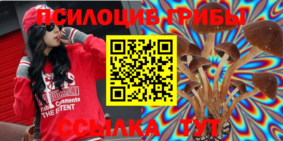 Галлюциногенные грибы Magic Shrooms Алатырь